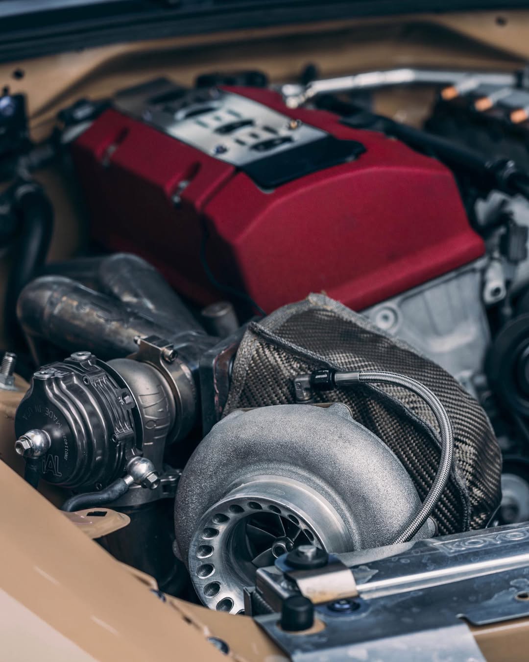 SnapInsta.to_117992347_2630749303814082_4618078066111338293_n